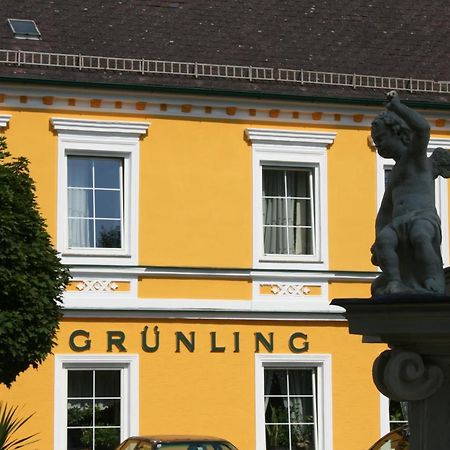 Gasthof Grunling Hotel Wallsee Exterior photo